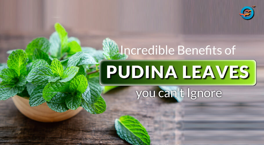 Mint Leaves / Pudina - 1 Each