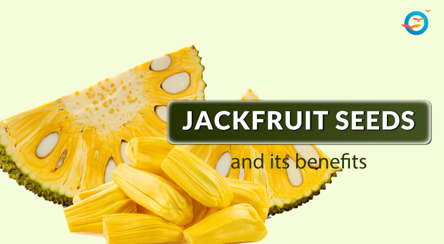 Jackfruit seeds image