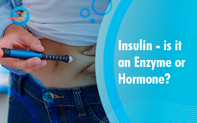 Insulin: Is it an enzyme or hormone?