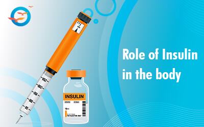 what is the effect of insulin