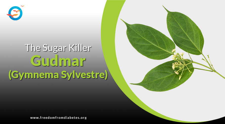 Gudmar-The Sugar Killer