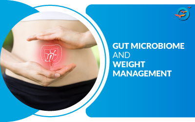 Role of the gut microbiome in weight management 