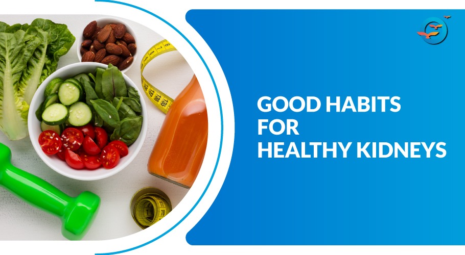 Maintaining Good Habits for Healthy Kidneys