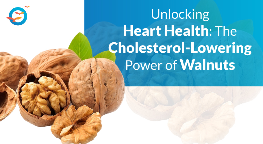 Walnuts & Cholesterol
