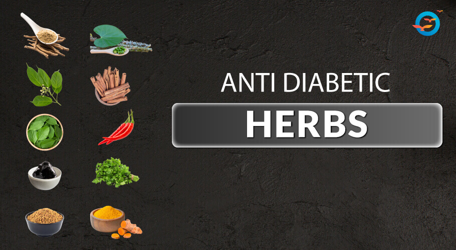 Anti - diabetes herbs image