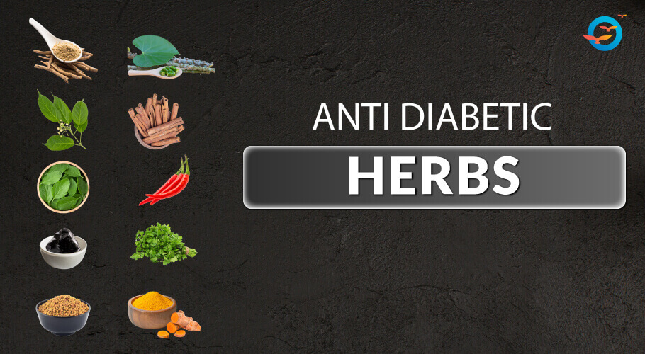 Top 10 Herbs for Diabetes Blog Freedom from Diabetes