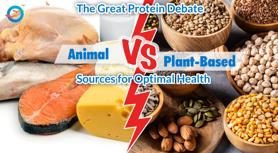 Vegan protein vs animal protein