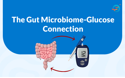 Understanding the Gut Microbiome and Its Role in Health