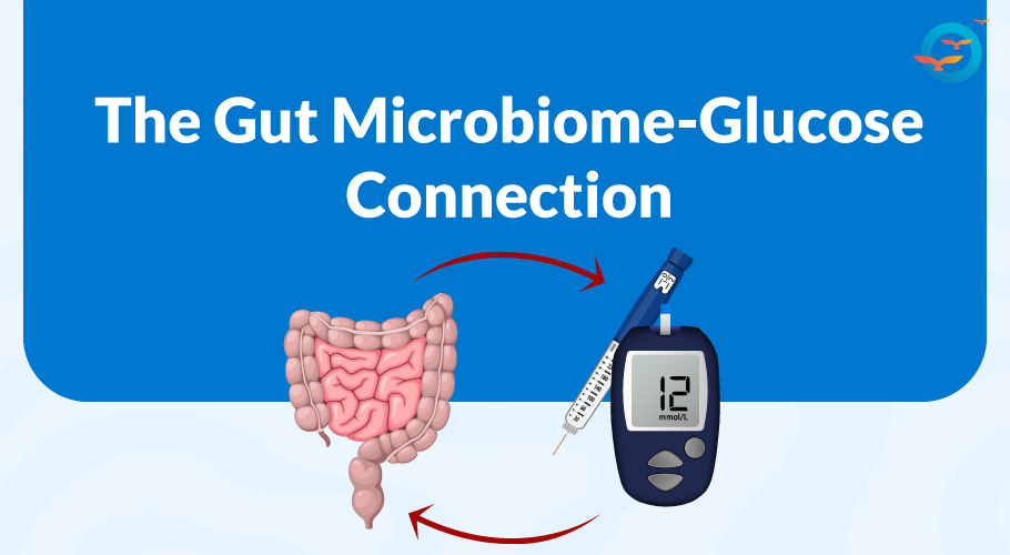 Gut Microbiome and Glucose connection