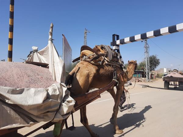 Camel cart.
